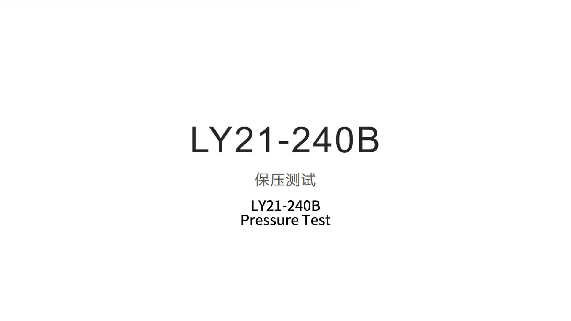 LY21-240B保压测试