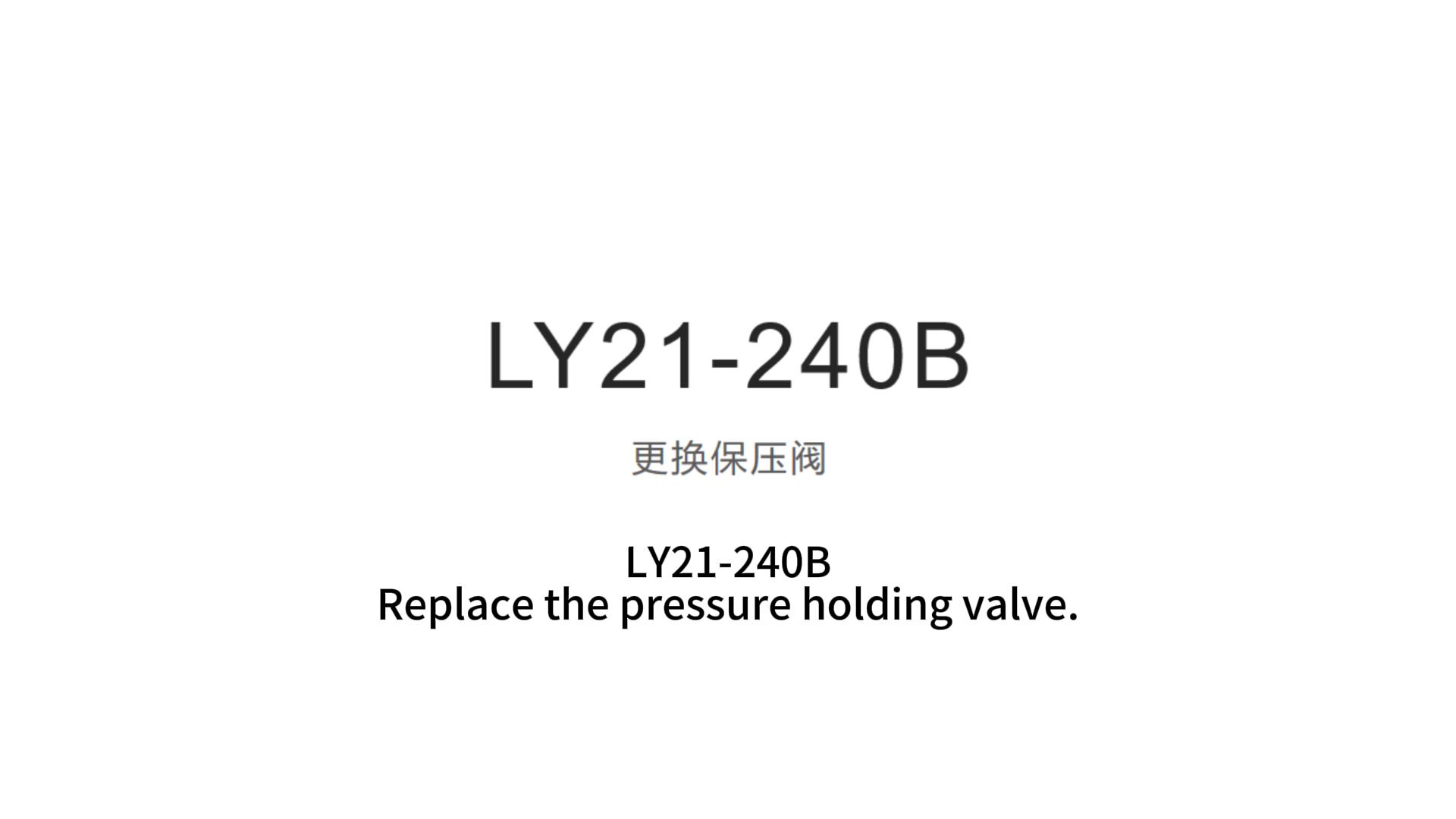 LY21-240B更换保压阀