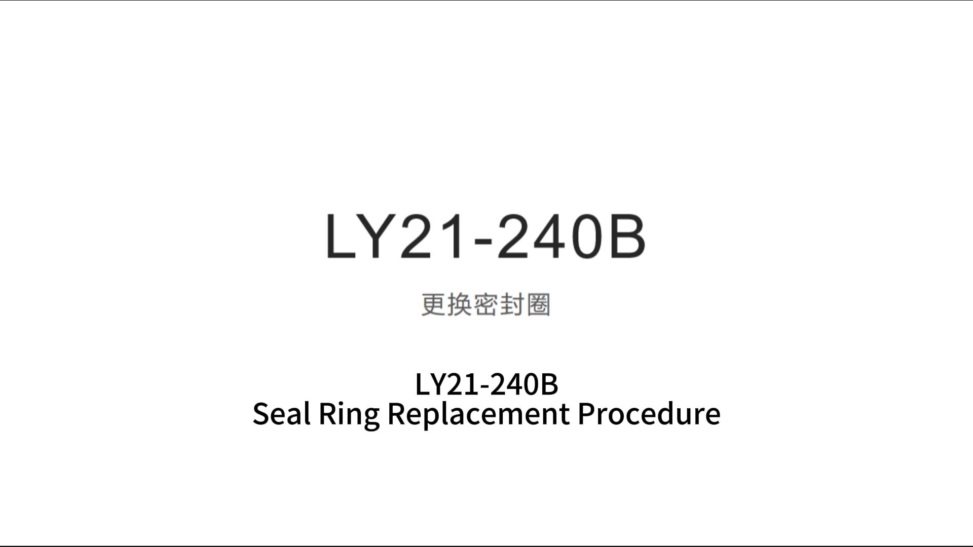 LY21-240B更换密封圈